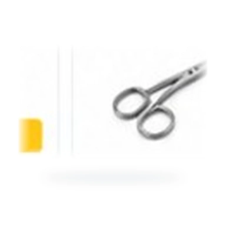 Surgical Dissection Scissors